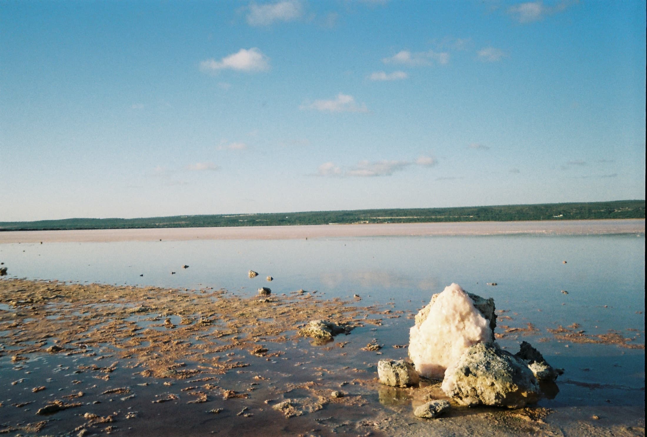 Film photograph 1 of 14