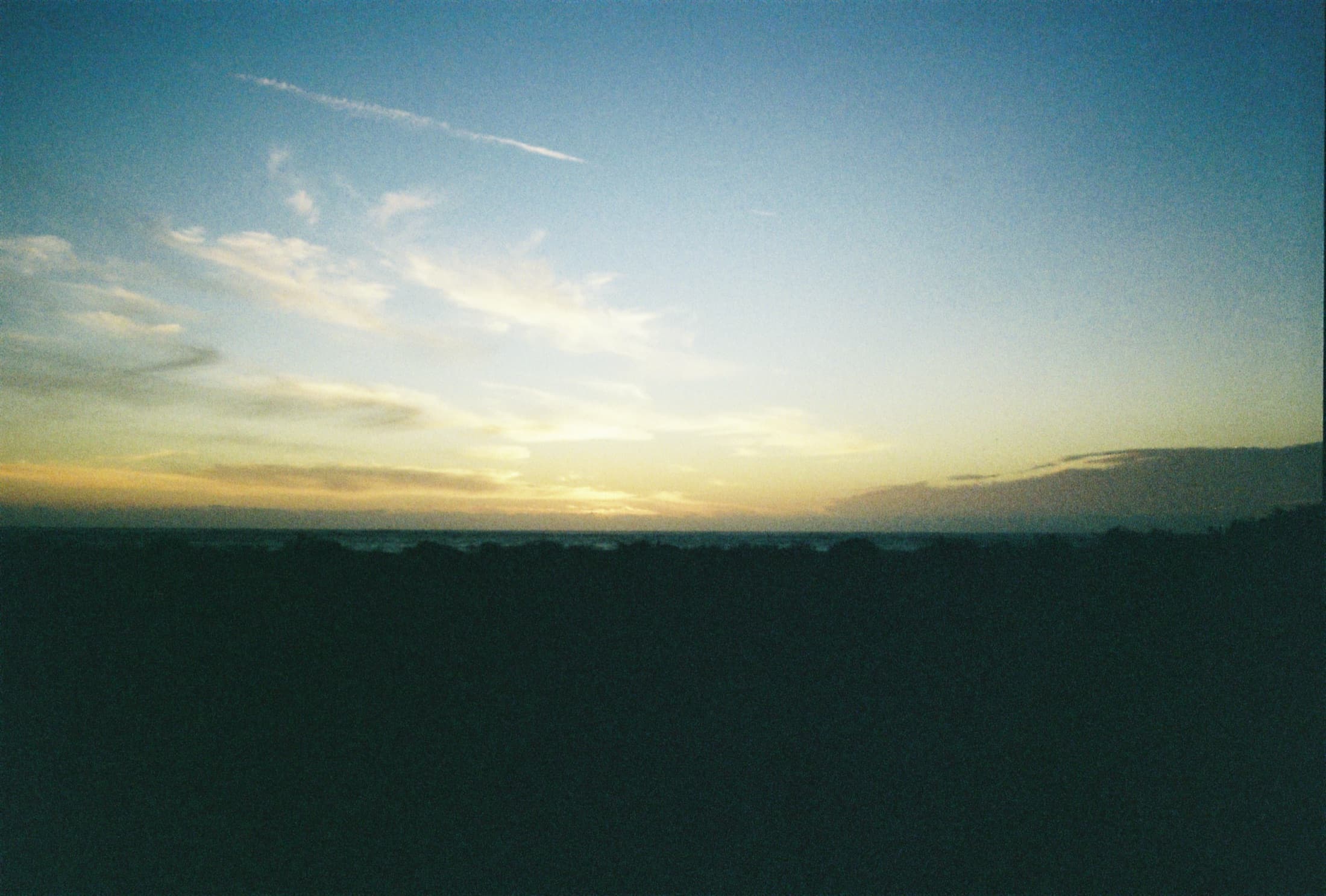Film photograph 2 of 14