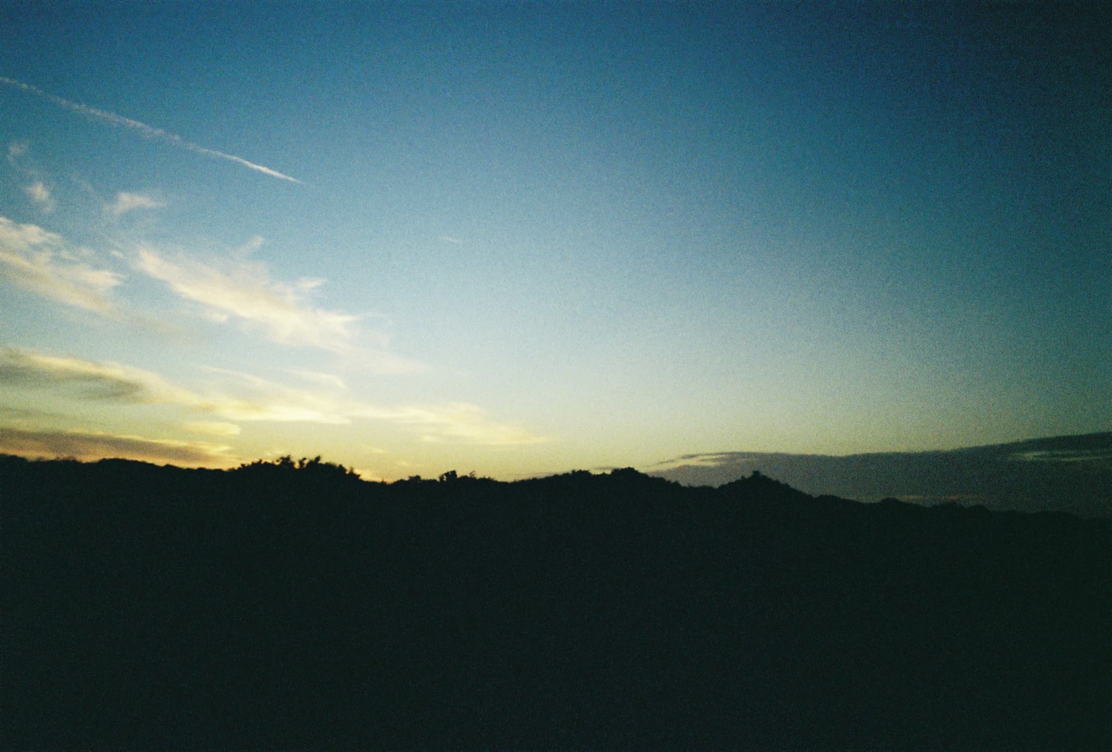 Film photograph 3 of 14