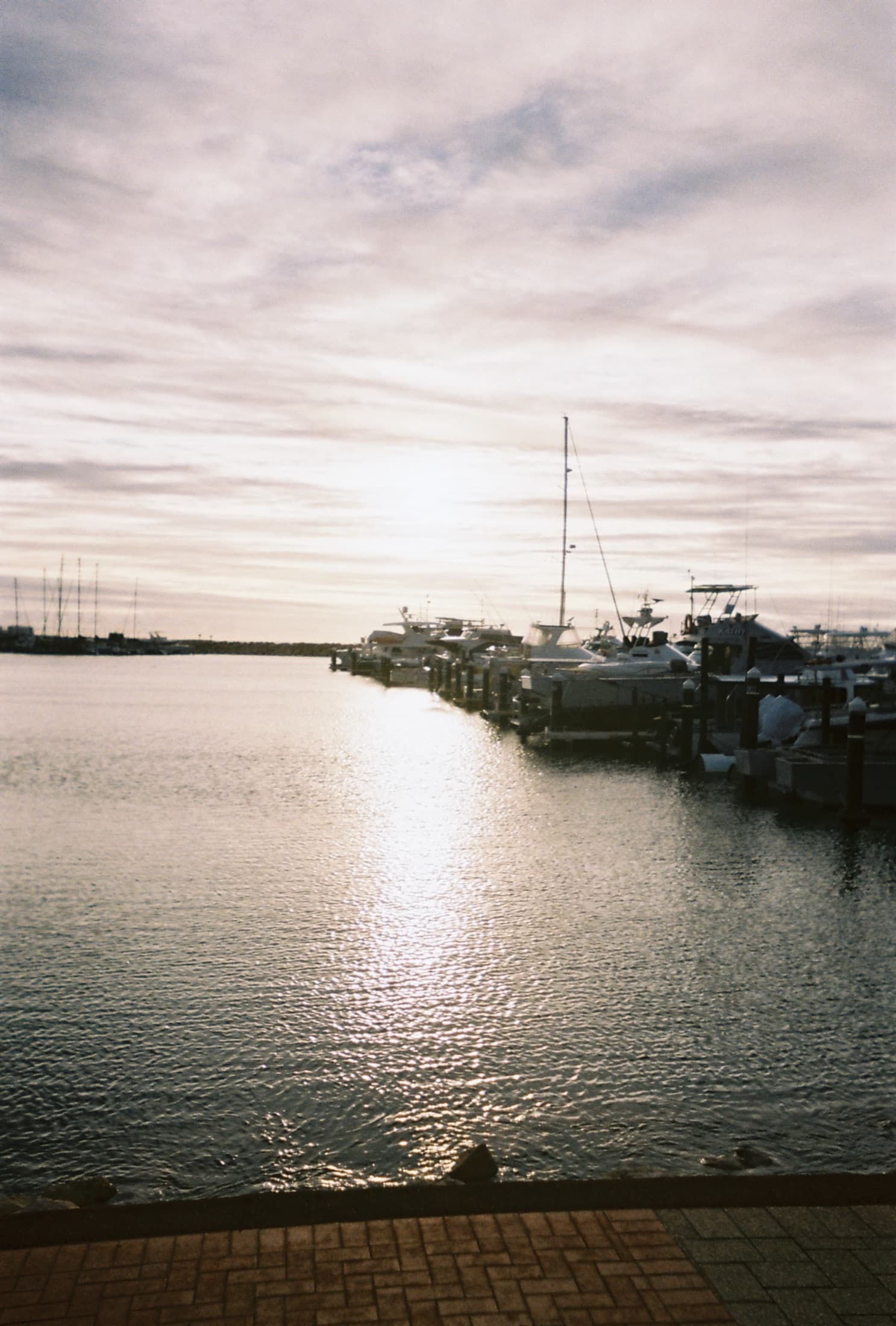 Film photograph 5 of 14