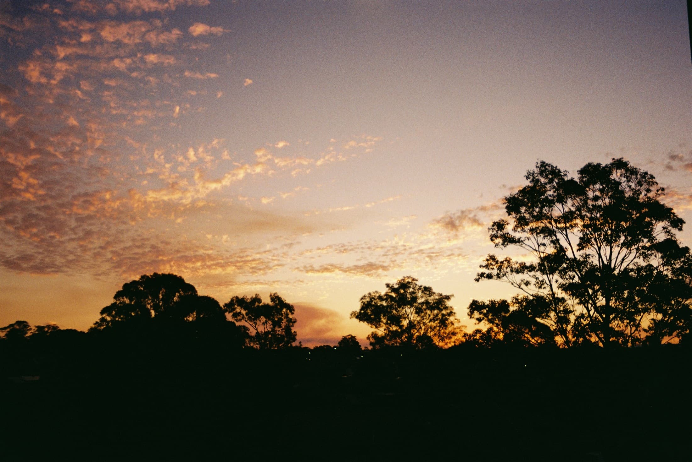 Film photograph 9 of 14