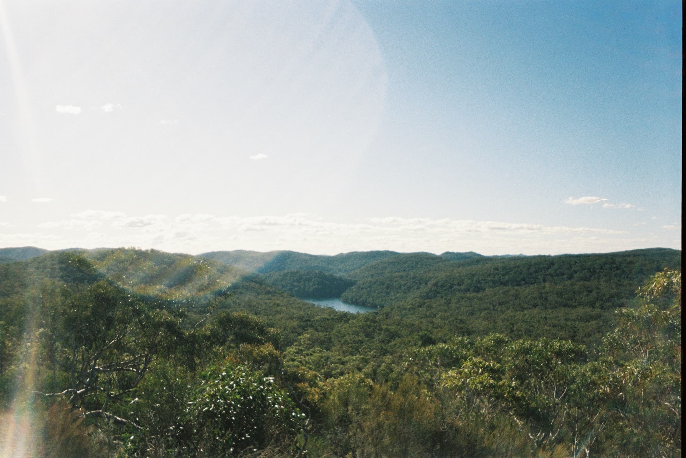 Film photograph 10 of 14
