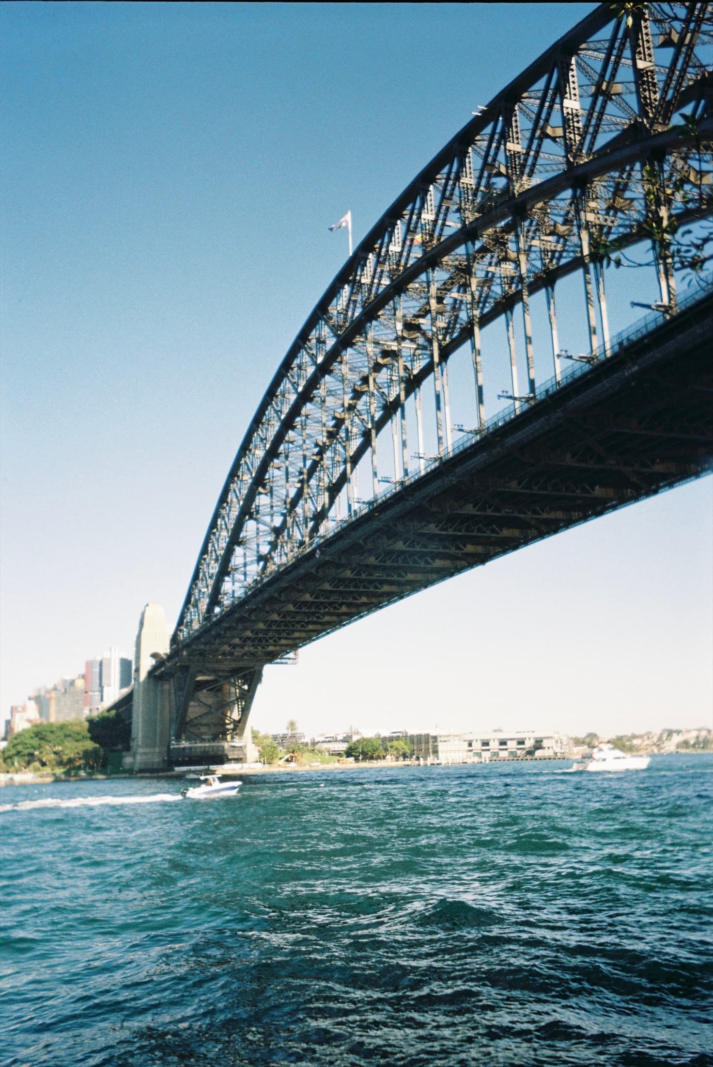 Film photograph 12 of 14