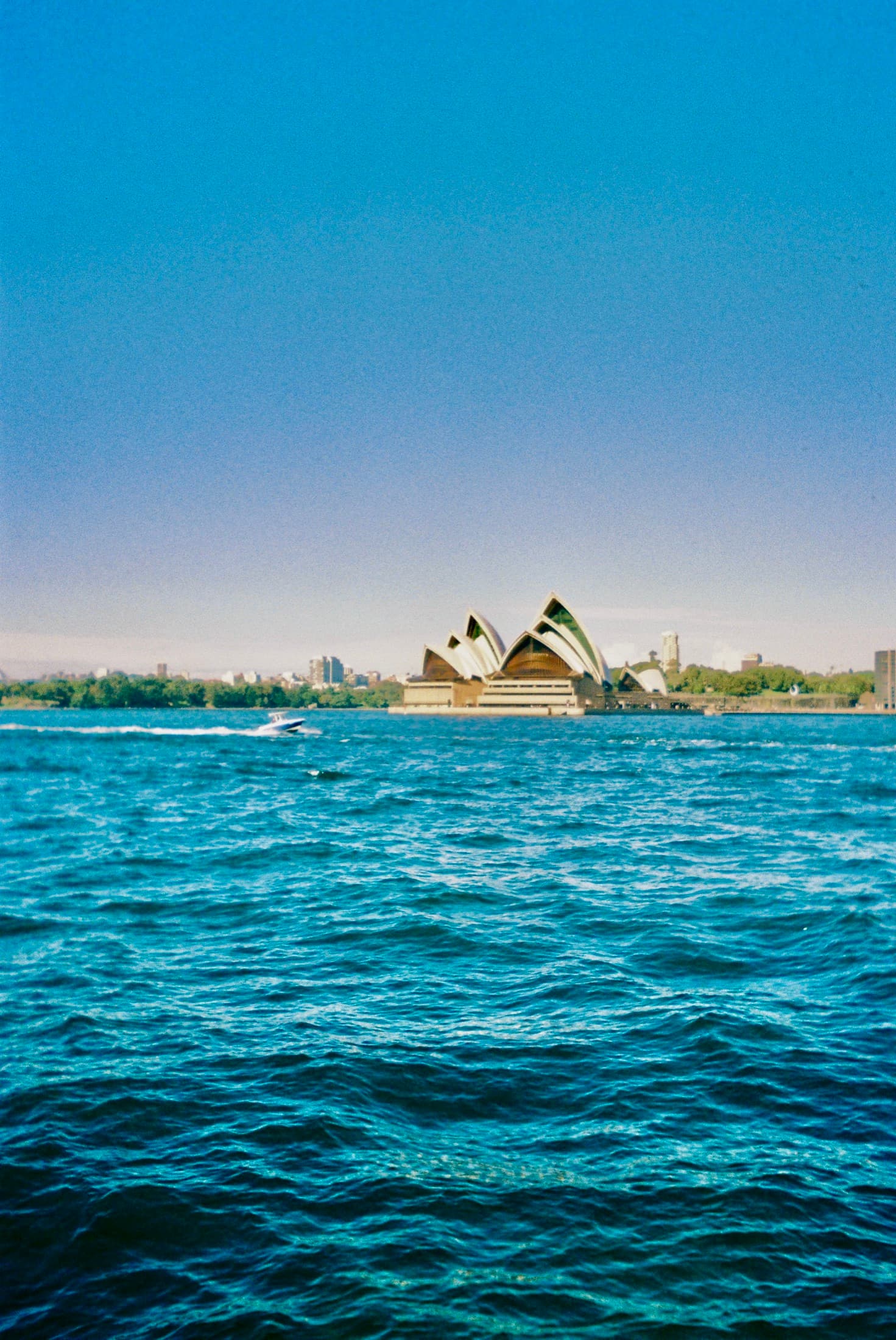 Film photograph 13 of 14